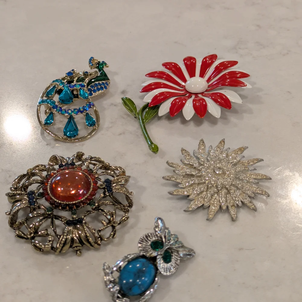 Elegant Multi-Color Brooch Set Of 5 Vintage